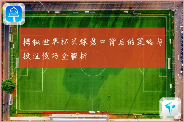 揭秘世界杯买球盘口背后的策略与投注技巧全解析
